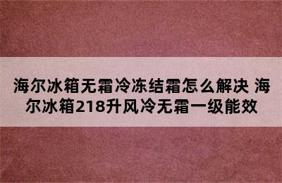 海尔冰箱无霜冷冻结霜怎么解决 海尔冰箱218升风冷无霜一级能效